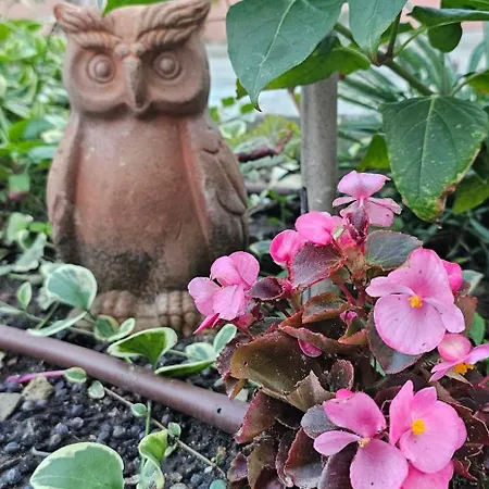 Victoria Διαμέρισμα Obzor