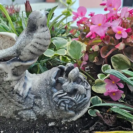 Διαμέρισμα Victoria Obzor