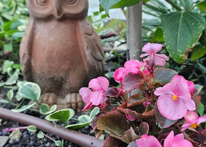 Victoria Апартаменты Обзор