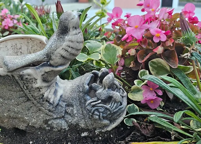 Апартаменты Victoria Обзор