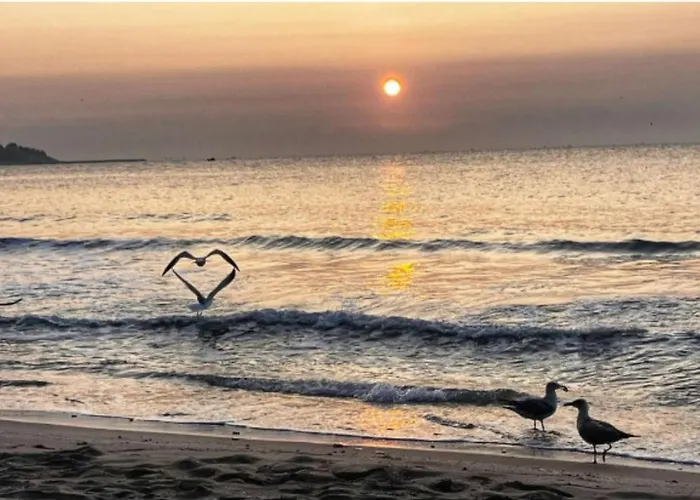 Appartamento Victoria